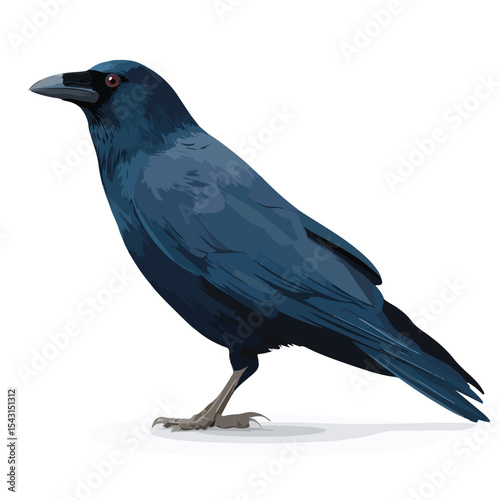 crow isolated in White Background, crow vector, Flat lay vector illustration