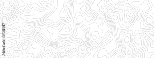Modern Geometric Map Design Incorporating Topographical Lines, Sea Maps, and Mounted Area Spaces for a Clean White Background
