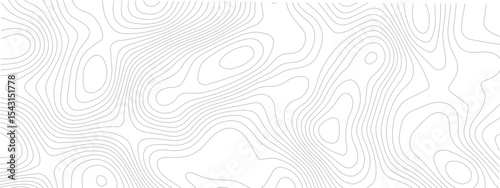 Topographic Design Pattern with Seamless Lines Representing Area Spaces and Grid Layouts on a Modern Geometric Map

