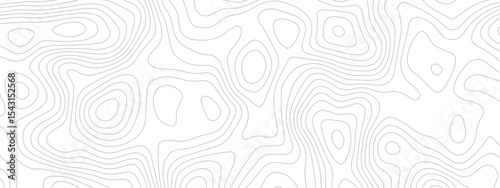 Stylized Abstract Landscape Pattern with Topographic Lines of Coastal and Mountain Regions in a Repeating Geometric Grid Layout
