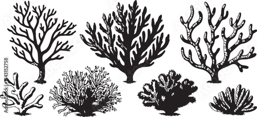 Assorted Coral Silhouettes – Underwater Plant Vector Collection