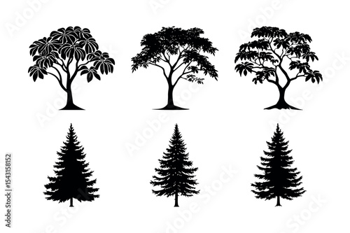 Six tree silhouettes deciduous and coniferous