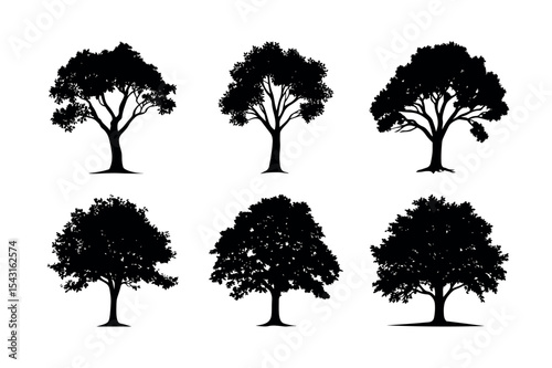 Six different tree silhouettes collection