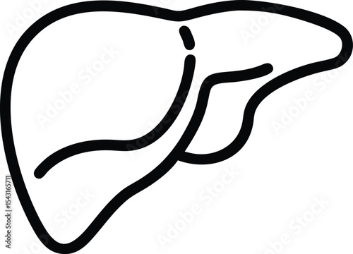 Human Liver Anatomy Detailed Vector Illustration