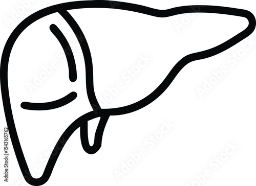 Human Liver Anatomy Detailed Line Art Illustration