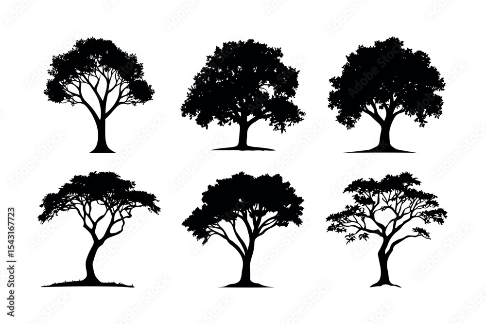 Fototapeta premium Six different tree silhouettes collection