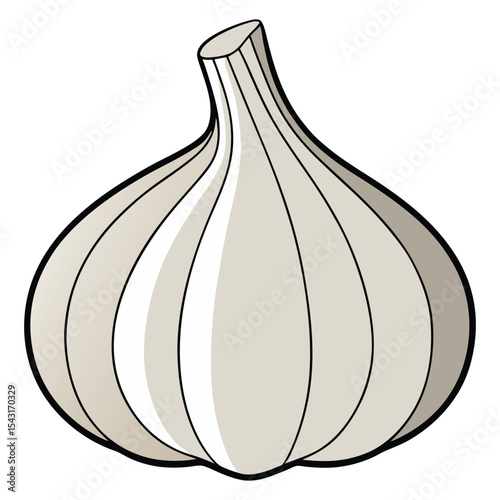 Healthy garlic ingredients used in natural cooking and herbal remedies