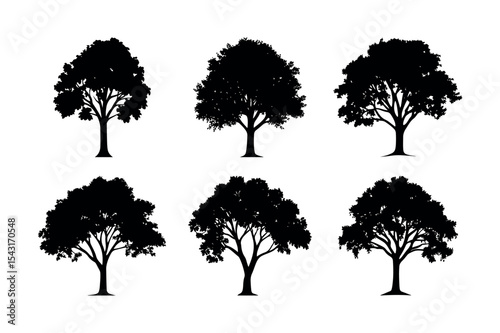Six deciduous tree silhouettes collection