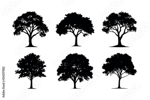 Six deciduous tree silhouettes collection