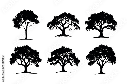 Six oak tree silhouettes collection silhouette