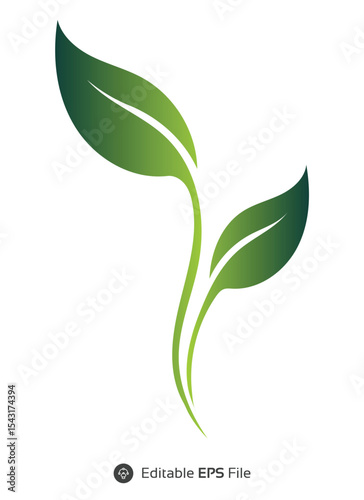 Green Leaf Sprout Gradient Vector Illustration green leaves