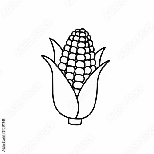 Corn cob illustration with detailed kernel design  