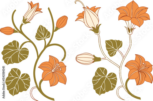 Pumpkin Flower Clipart Set for Autumn Design. Hand Drawn Pumpkin Flower Illustrations Collection. Botanical Pumpkin Flower Art for Fall Projects. Elegant Pumpkin Flower Graphic Set for Harvest Season