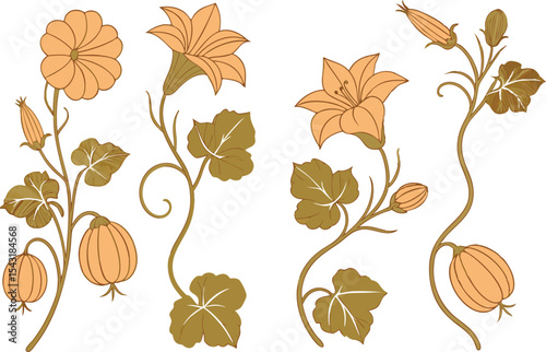Pumpkin Flower Clipart Set for Autumn Design. Hand Drawn Pumpkin Flower Illustrations Collection. Botanical Pumpkin Flower Art for Fall Projects. Elegant Pumpkin Flower Graphic Set for Harvest Season