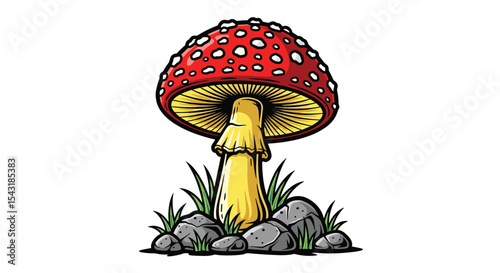 A Fly Agaric Mushroom in Grassy Patch on Rocks with White Background