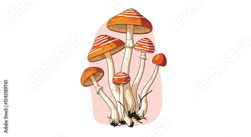 Exploring the Wonderful World of Fungi A Guide to Understanding and Identifying Mushrooms