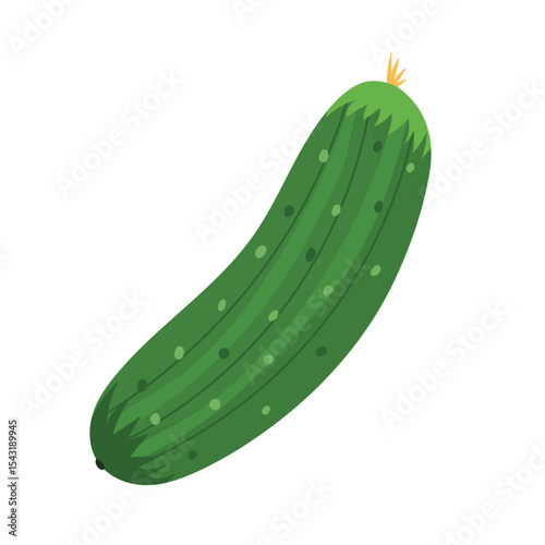 Fresh cucumber in cartoon style. Hand drawn farm vegetable element isolated on white background. Organic healthy food clipart. Vector illustration