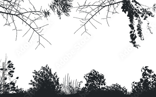 Vector background of realistic branches a silhouette of bare dry twigs
