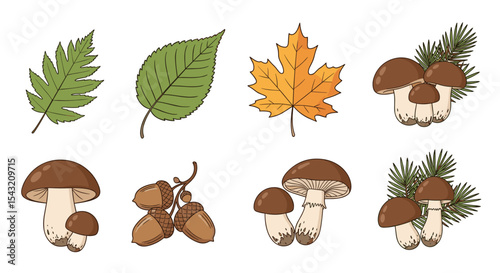 Nature's Bounty A Collection of Autumn Elements Featuring Leaves Mushrooms and Acorns