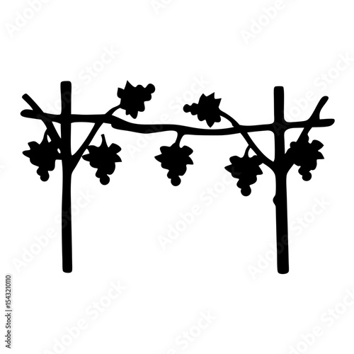 Silhouette of vineyard grape vine trellis in black and white illustration