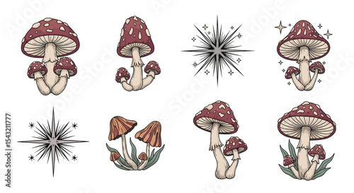 Magical Forest Fungi and Celestial Sparkles Create a Mystical and Whimsical Atmosphere
