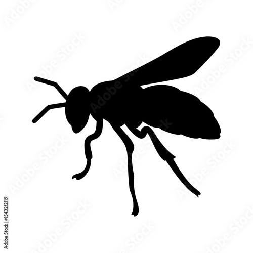 Silhouette of a wasp with wings, legs, and antennae on white background
