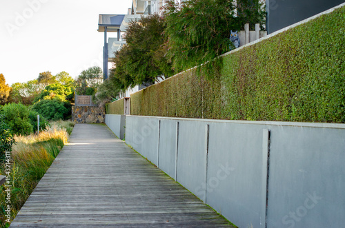 A long, elevated boardwalk runs alongside a modern residential building,bordered by a meticulously trimmed hedge and sleek concrete retaining wall. The well-maintained landscaping enhances curb appeal
