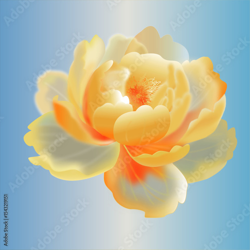 It's a vector graphic style that focuses on soft, abstract organic shapes, rendered with dynamic gradients and subtle contouring to create a sense of depth and ethereal beauty.