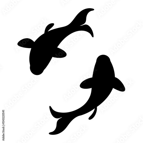 Elegant Koi Fish Duo in Silhouette, Swimming in a Circular Motion