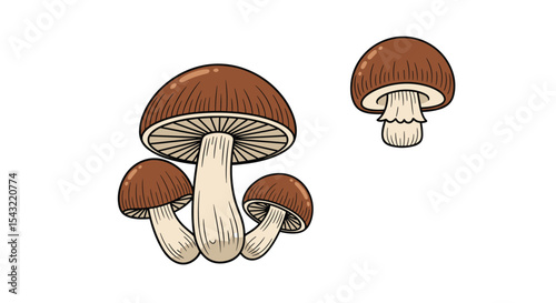Exploring the Fascinating World of Fungi Varieties and Their Ecological Significance in Forests