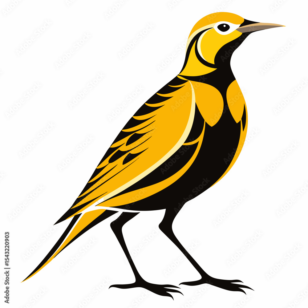 Obraz premium Eastern Meadowlark vector silhouette on white background