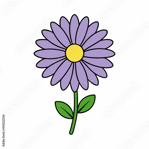Aster flower vector illustration 