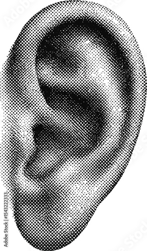 Anatomy of an Ear: A detailed and stylized illustration of a human ear, meticulously rendered in a monochromatic engraving style, offering an educational look at the auditory organ.