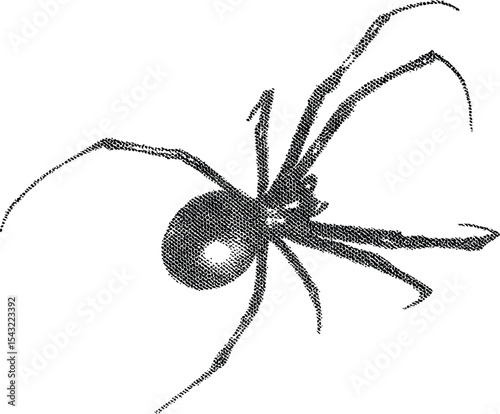 Black Widow Spider:Close-up view of a black widow spider, showcasing its distinctive shiny black body and red hourglass marking.