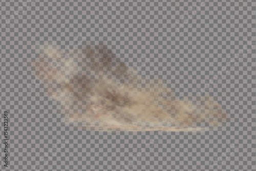 Sandstorm a cloud of dust or sand flying from under the wheels of a car or motorcycle