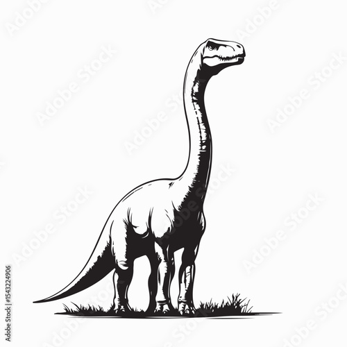 Brachiosaurus dinosaur on white background Vector Image isolated on white background.