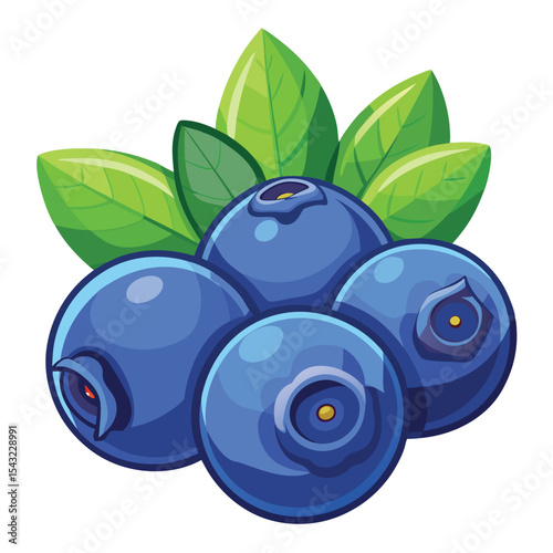 blueberries isolated white background