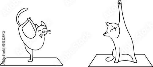 Cute Cats Practicing Yoga Poses on Mats