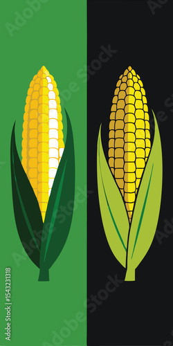 Two Corn Ears on Green and Black Backgrounds maize