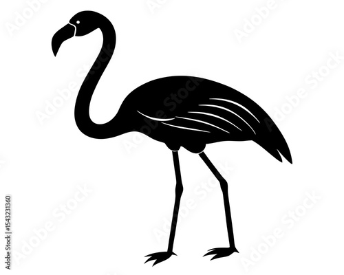 Flamingo silhouette vector illustration