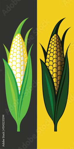 Two Corn Ears Graphic Illustration Yellow White Gold Green