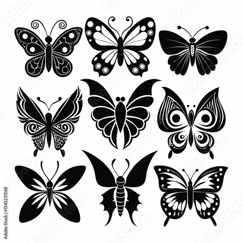 High resolution detailed fly illustration
