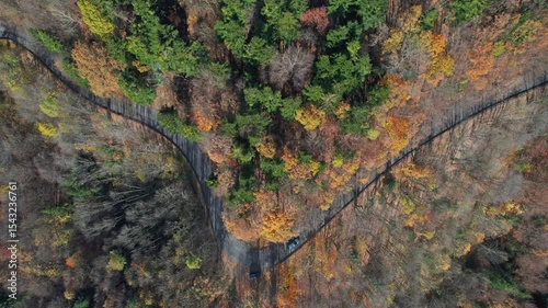 Overhead aerial view of car on winding mountain road in sunny colorful autumn forest.