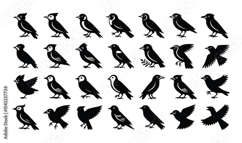 Diverse Collection of Black Bird Silhouettes Ideal for Nature Designs Prints and Wildlife Illustrations