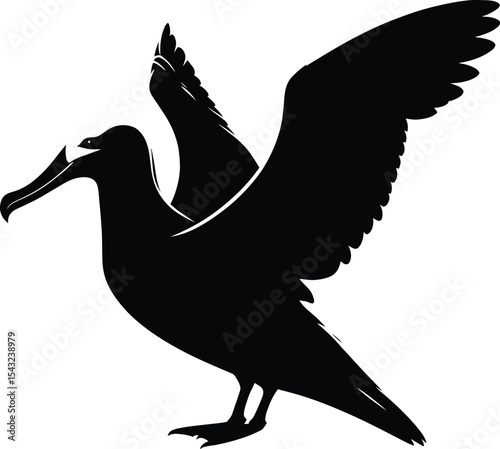 Bird silhouette vector illustration isolated on a white background