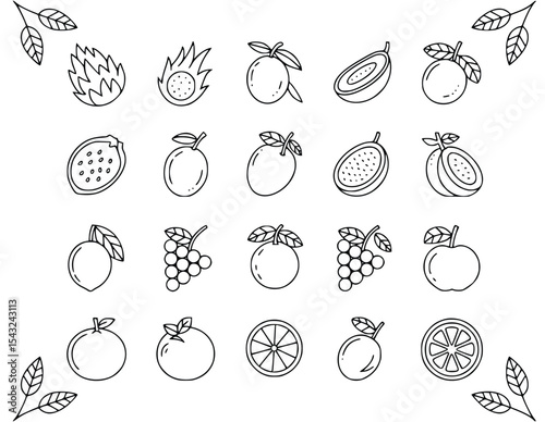 Fresh fruit doodles featuring dragon fruit, passion fruit, grapes, orange, apple, and other vibrant and healthy fruits, silhouette