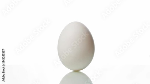 A single white egg stands upright with a glossy surface reflecting the clean white backdrop