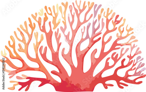 watercolor coral illustration vector