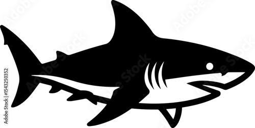 Shark vector illustration