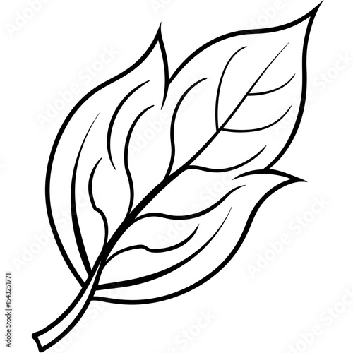 Whispering Leaf Silhouette